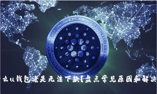 为什么u钱包老是无法下款？盘点常见原因和解决方案