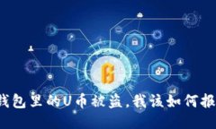 冷钱包里的U币被盗，我该