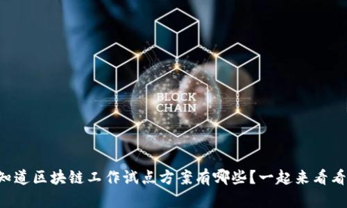 想知道区块链工作试点方案有哪些？一起来看看吧！