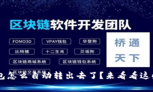 我的U币钱包怎么自动转出去了？来看看这些常见原因！