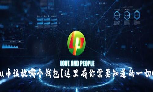 u币该放哪个钱包？这里有你需要知道的一切！