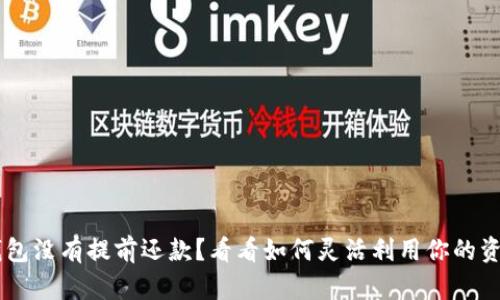 U钱包没有提前还款？看看如何灵活利用你的资金！