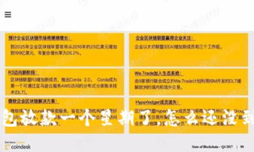 U钱包放款一个星期了，怎么还没到账？