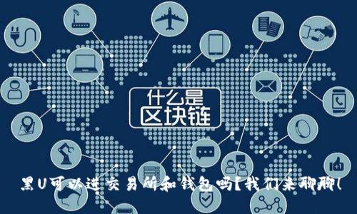 黑U可以进交易所和钱包吗？我们来聊聊！