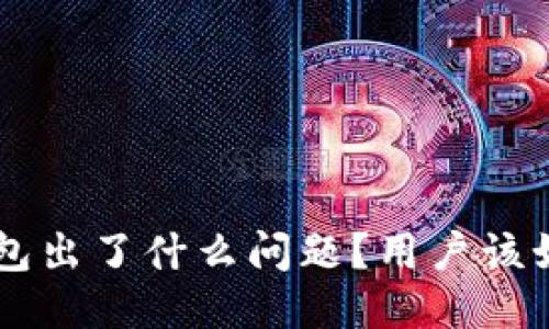 点融U钱包出了什么问题？用户该如何应对？