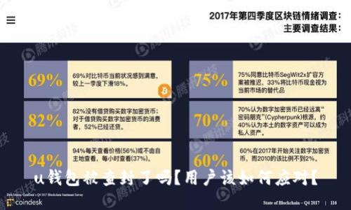 u钱包被查封了吗？用户该如何应对？