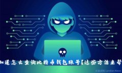 想知道怎么查询比特币钱