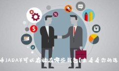 艾达币（ADA）可以存放在