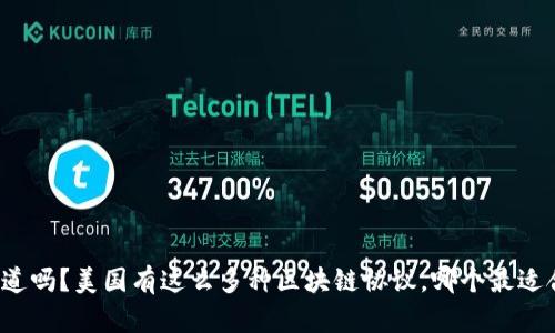 你知道吗？美国有这么多种区块链协议，哪个最适合你？
