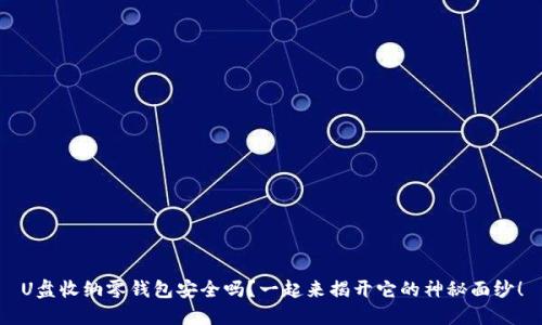 U盘收纳零钱包安全吗？一起来揭开它的神秘面纱！