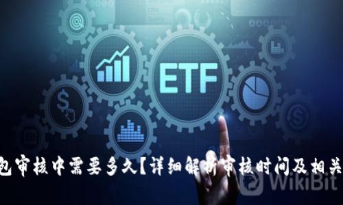 u钱包审核中需要多久？详细解析审核时间及相关因素