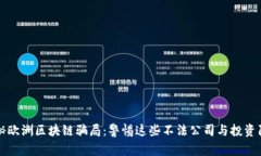 揭秘欧洲区块链骗局：警