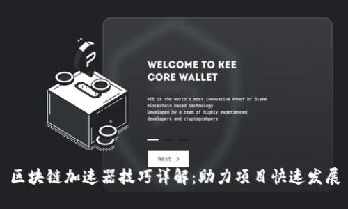 区块链加速器技巧详解：助力项目快速发展