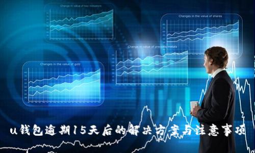 u钱包逾期15天后的解决方案与注意事项