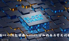 如何在NEAR钱包中存入USD