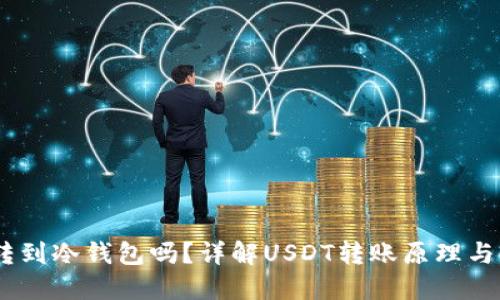 USDT可以直接转到冷钱包吗？详解USDT转账原理与冷钱包使用指南