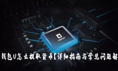 冷钱包U怎么提取货币？详细指南与常见问题解答