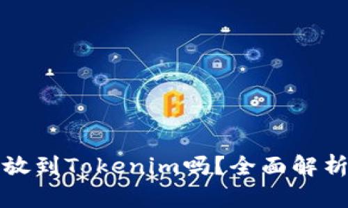 狗狗币可以放到Tokenim吗？全面解析与投资建议