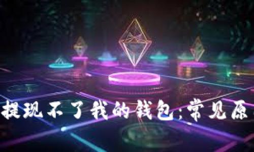 为什么U智洗提现不了我的钱包:常见原因与解决方案