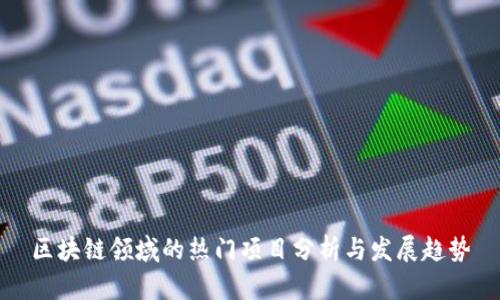 区块链领域的热门项目分析与发展趋势