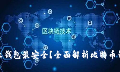 储存比特币用什么钱包最安全？全面解析比特币钱包类型与安全性