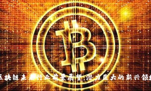 区块链未来行业前景展望：潜力巨大的新兴领域