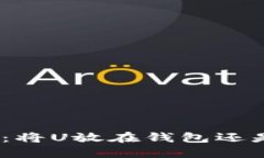 : 携带数字资产：将U放在