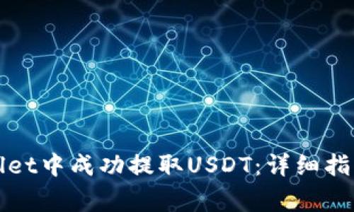 如何在tpWallet中成功提取USDT：详细指南与注意事项