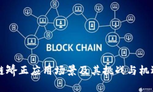 区块链矫正应用场景及其挑战与机遇解析