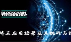 区块链矫正应用场景及其