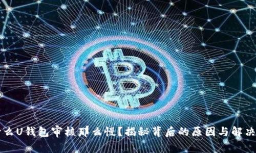 为什么U钱包审核那么慢？揭秘背后的原因与解决方法