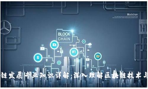 区块链发展专业知识详解：深入理解区块链技术与应用